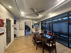 Phillips Avenue (D19), Terrace #568670701